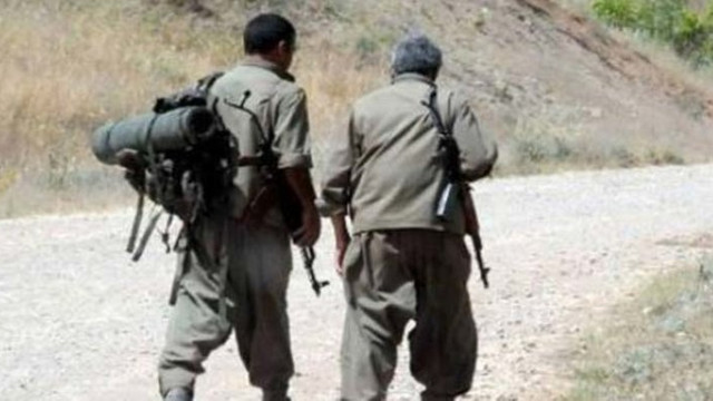 PKK'da çözülme devam ediyor: Gri listedeki 2 terörist teslim oldu