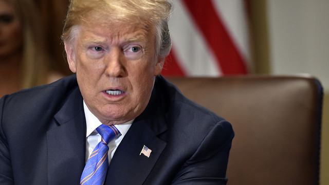 Trump: Türkiye-Suriye sınırında büyük başarı sağlandı