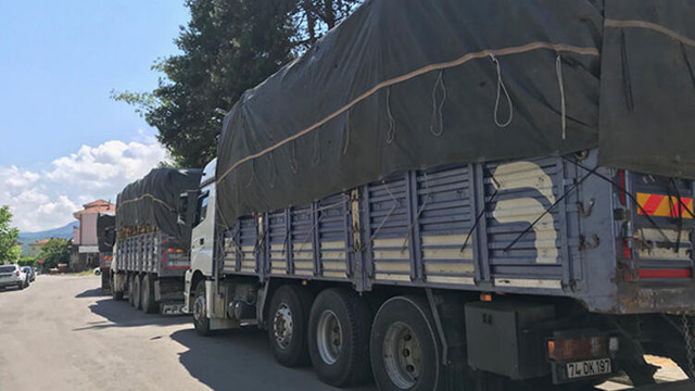 Kaçak kesimin ardından 2 milyon liralık skandal ortaya çıktı