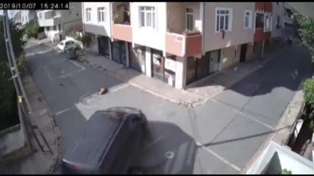 Görüntüler dehşete düşürdü: Ezip geçti !