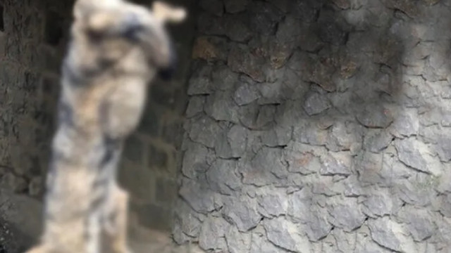 Cansız bedeni köprüye asılı bulunmuştu; sırrı çözüldü!