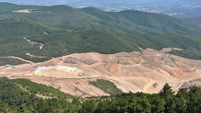 200 bin ağaç kesip 2 bin 500 fidan dikti!