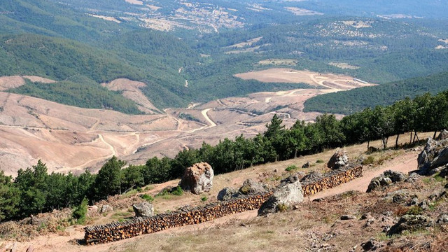 Kaz Dağları'nı bitirecek ayrıntı ortaya çıktı