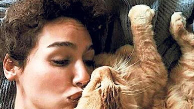 Kedisi kaybolan Birce Akalay yardım istedi