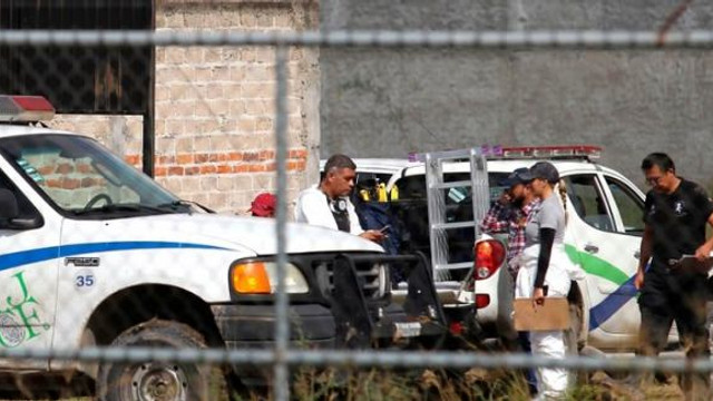 Çiftlikte dehşet ! Çantaların içinden 25 ceset çıktı