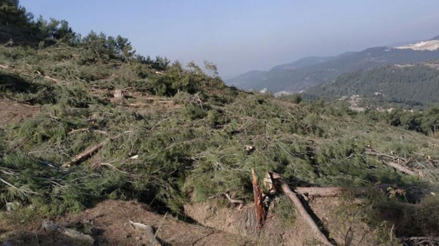 Kaz Dağları'nda yeni katliam