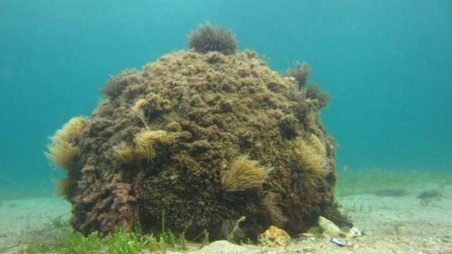 Çanakkale'de 1. Dünya Savaşı'ndan kalma mayın patlatıldı