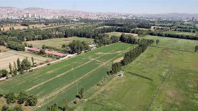 Atatürk Orman Çifliği'ne şimdi de ''spor vadisi'' yapılacak