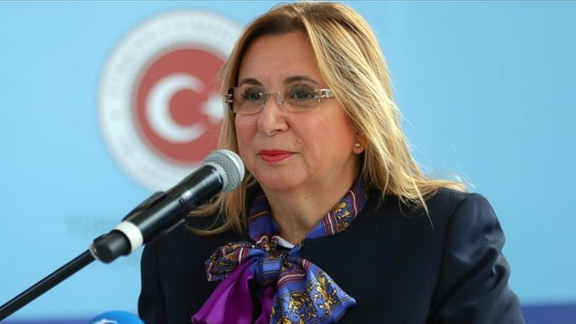 Hükümetten ''sicil affı'' müjdesi: ''Yeniden gündeme gelebilir''
