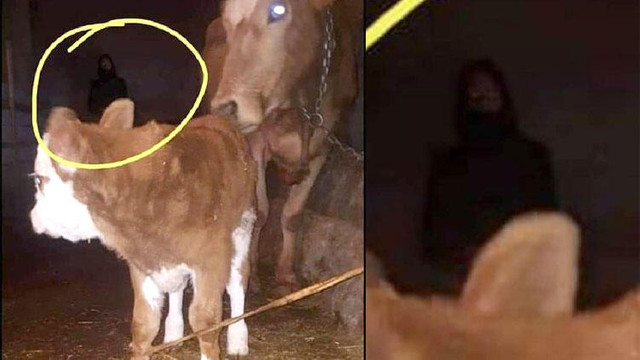Fotoğraftaki siluet tartışma yarattı !