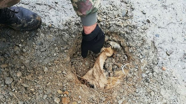 PKK'nın hain tuzakları ele geçirildi