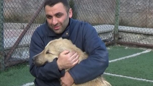 Sopayla kovaladığı köpekten özür diledi