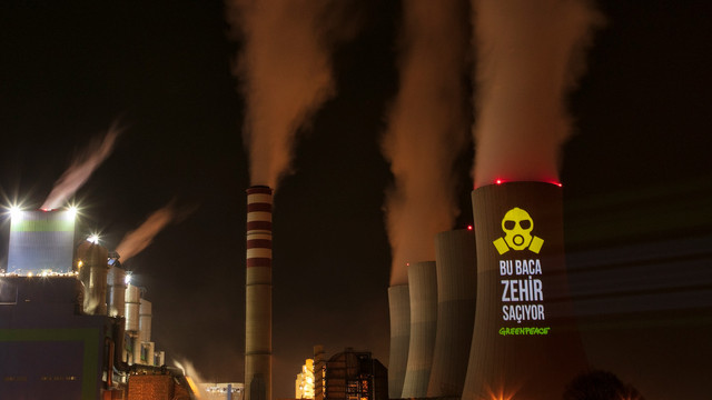 Greenpeace'ten Cumhurbaşkanı Erdoğan'a ''termik'' çağrı