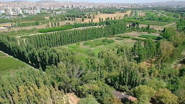 AYM, Atatürk'ün vasiyeti bulamadı