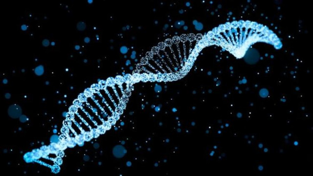 ''Çok alkol almak DNA'yı bozuyor''