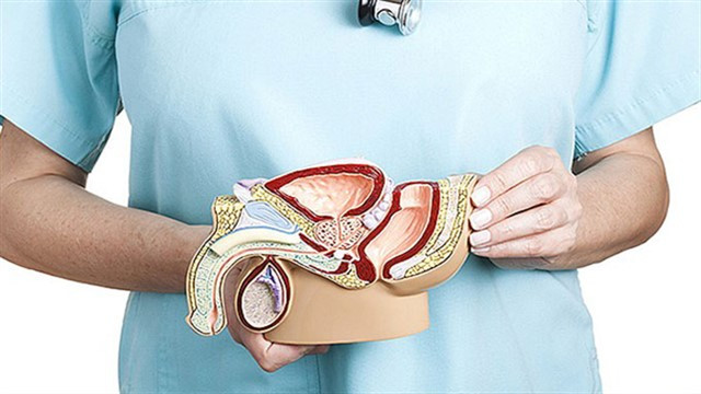 prostat nedenleri saglik