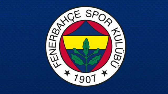Fenerbahçe'de Mehmet Topal sakatlandı