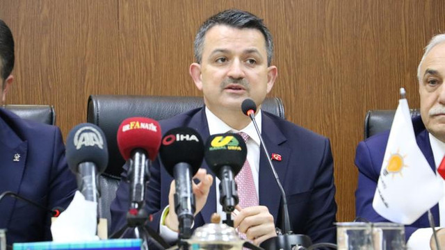 Bakan'dan destek ödemesi müjdesi ! Bugün başlıyor