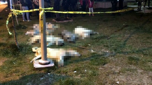 Yine Ankara yine aynı vahşet! Onlarcası ölü olarak bulundu