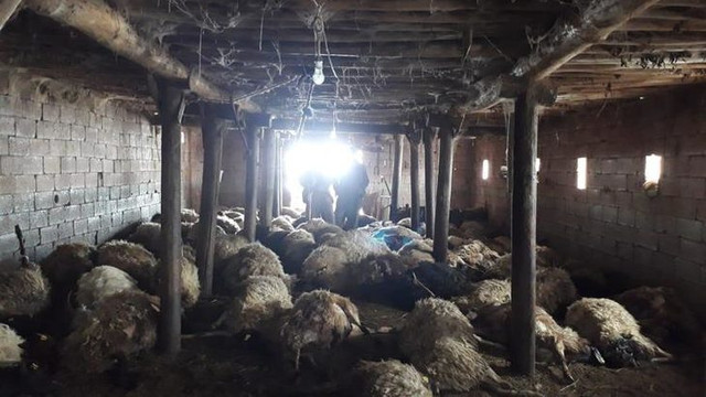 Hayatının şokunu yaşadı ! Hepsi telef oldu...