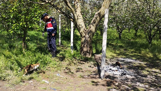 Alkol masasında silahlı kavga