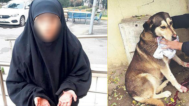 Sokak hayvanlarını kesen caniye suçüstü