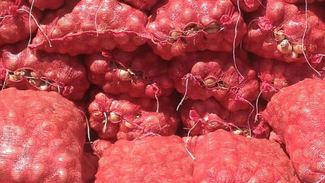 Soğanın kilogramı 9 liradan 1 liraya düştü