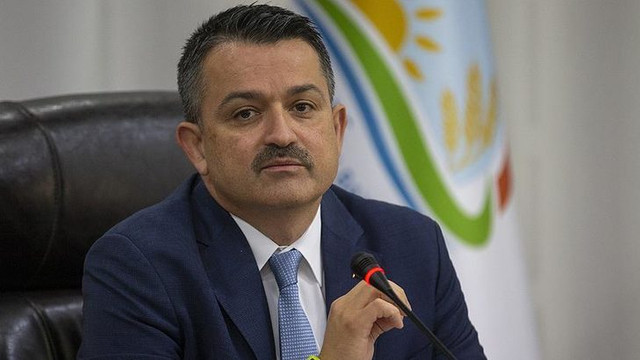 2019 yılı yaş çay alım fiyatları açıklanıyor