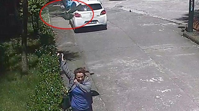 Korkunç olay ! Kargalar kadına böyle saldırdı