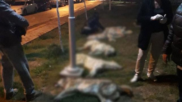 Türkiye'de bir ilk ! Mahkemeden Ankara Büyükşehir'e davet