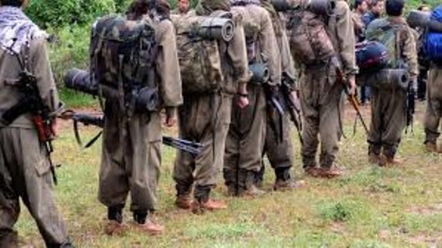 Bitlis'te 4 terörist etkisiz hale getirildi