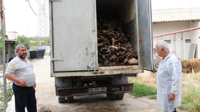 Kaçak sakatat yedirecekti... Mühürlendi !