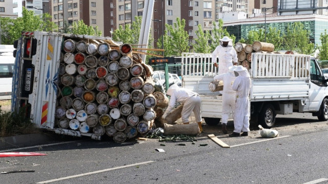 Diyarbakır'da kaza sonrası arı saldırısı alarmı