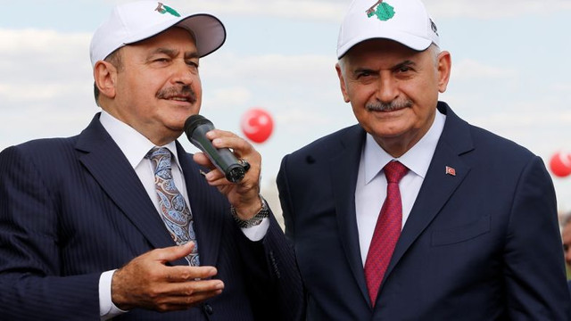AK Parti ‘’milyarlarca ağaç diktik’’ demişti ama…