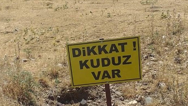 Köyde kuduz alarmı ! Karantinaya alındı
