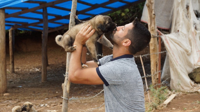 Canını hiçe saydı, sele kapılan köpekleri kurtardı
