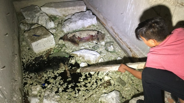 Bursa'da esrarengiz olay ! Çocuklar inşaatta buldu