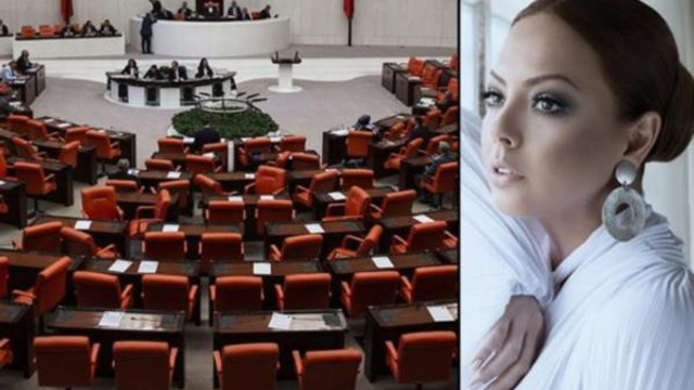TBMM'de VIP tartışması: Ebru Gündeş örnek gösterildi