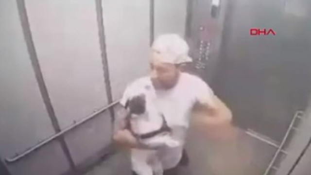 Asansörde köpeğe işkence etti !