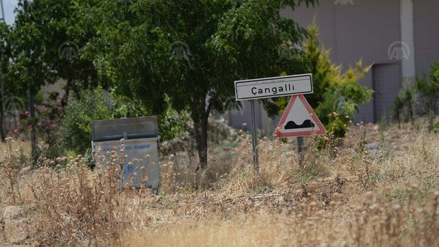 Canlı bomba yeleği ve patlayıcı ele geçirildi !