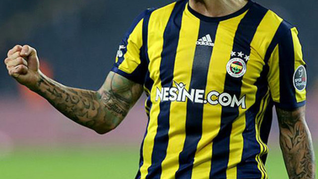Newcastle United, Fenerbahçeli Martin Skrtel'in peşinde