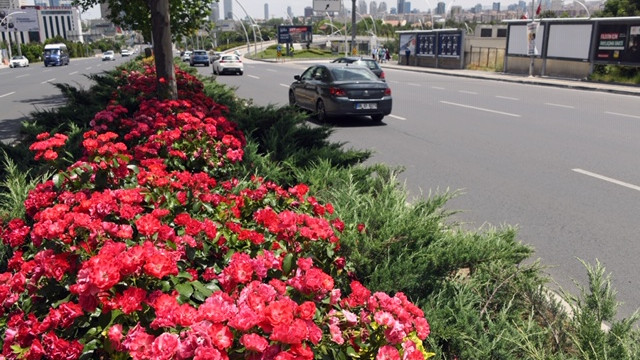 Başkent Ankara'nın dört bir yanı çiçek açtı