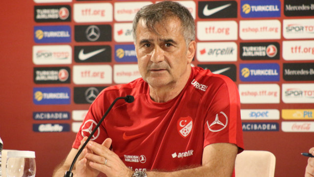 Şenol Güneş: Fransa maçında kaybedecek bir şeyimiz yok