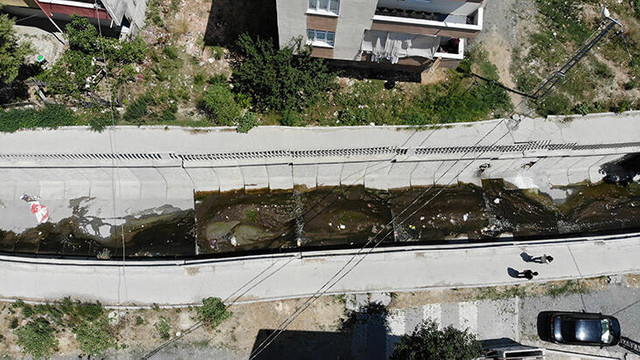 İstanbul'da virüs alarmı ! Sivri sineklerden bulaşıyor