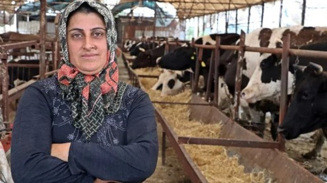 4 bilezikle işe girdi şimdi paraya para demiyor !