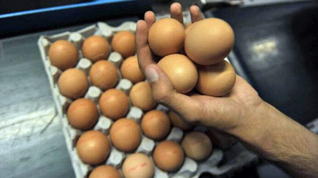 Yumurtada dioksin skandalı !