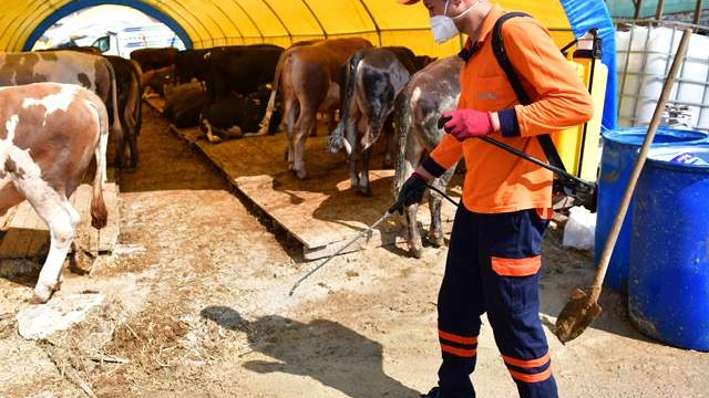 Ankara'da kurban satış yerleri ilaçlanıyor