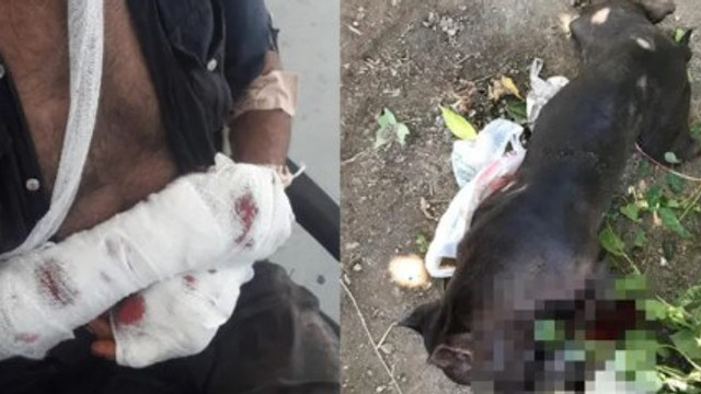 Pitbull dehşeti ! Polis vurmak zorunda kaldı !