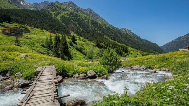 Rize yaylaları ihaleye çıktı!