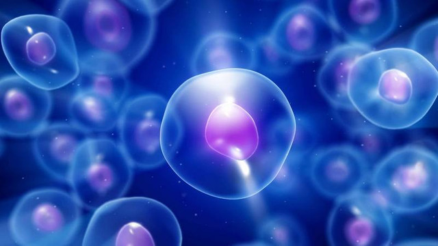 Dünyada ilk hücre nasıl oluştu ? İşte yaşamla ilgili dikkat çeken ipucu